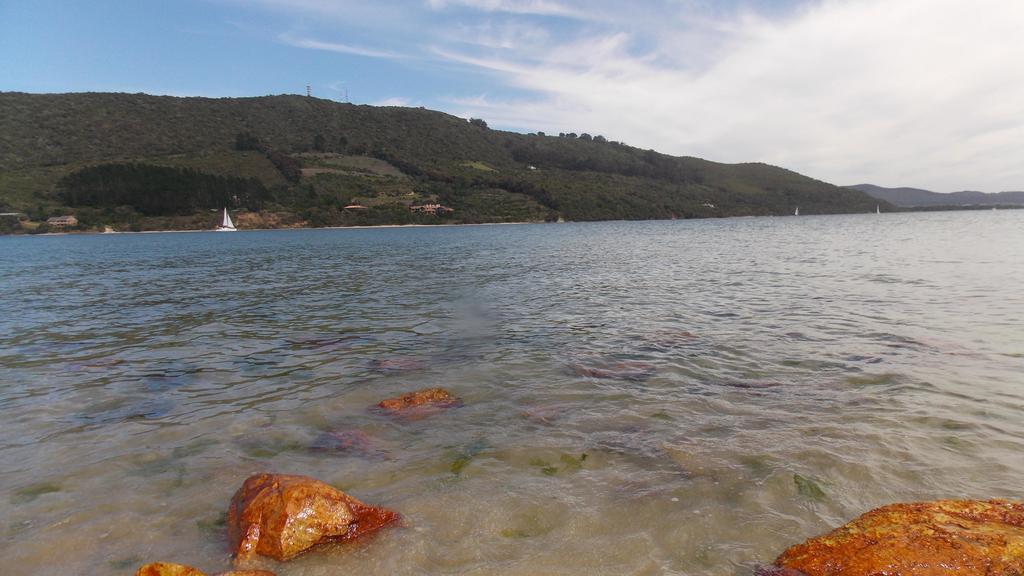 Rivertide Lodge Knysna Ngoại thất bức ảnh